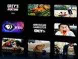 tv digital divide